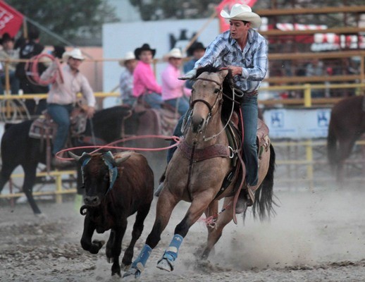 Que tres vaqueros no pueden controlar un toro, la tradición manda 20 Que tres vaqueros no pueden controlar un toro, la tradición manda 20