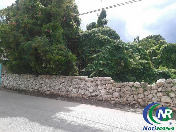 Terrenos baldíos en Tizimín causan malestar a vecinos