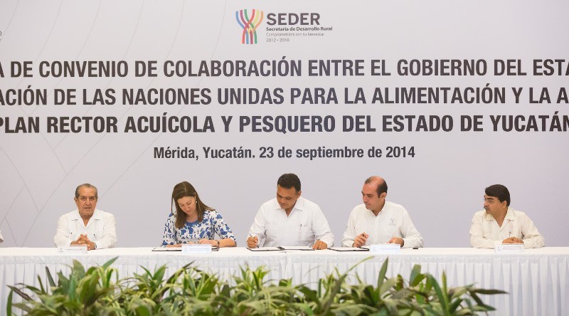 Realizarán estudio para impulsar la pesca y la acuacultura del Estado Realizarán estudio para impulsar la pesca y la acuacultura del Estado