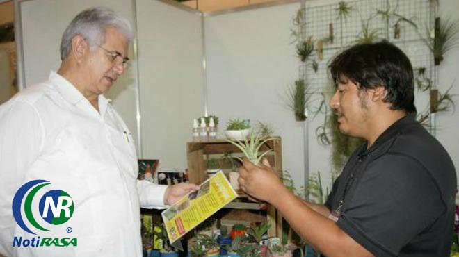 Buscan al yucateco emprendedor Buscan al yucateco emprendedor