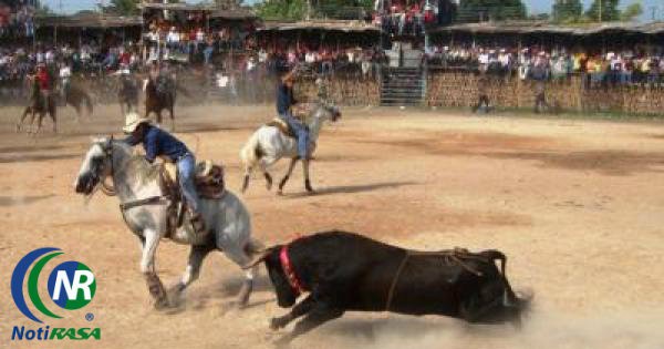 Los torneos de lazo se han convertido en "negocio" Los torneos de lazo se han convertido en "negocio"