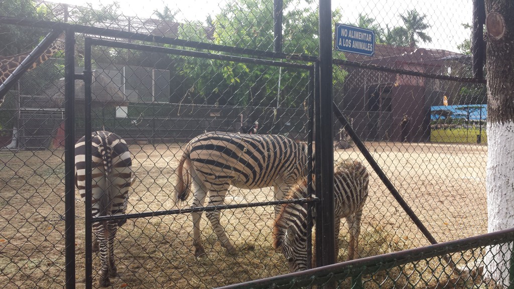Más de un millón de pesos invertidos en mejoras del parque zoológico del Centenario