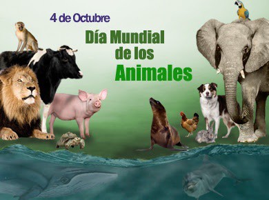Celebran el Día Mundial de los Animales Celebran el Día Mundial de los Animales