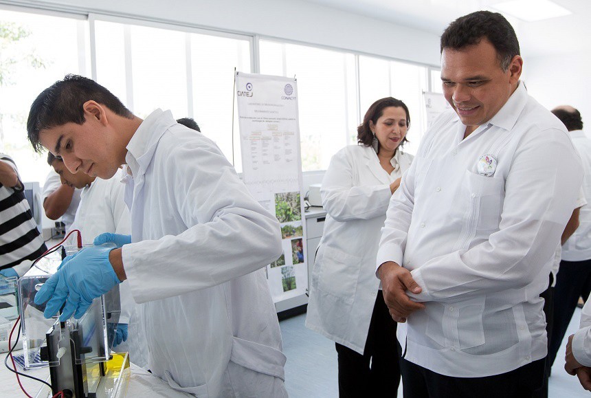 Buscan desarrollar un biodisel a través de plantas Buscan desarrollar un biodisel a través de plantas