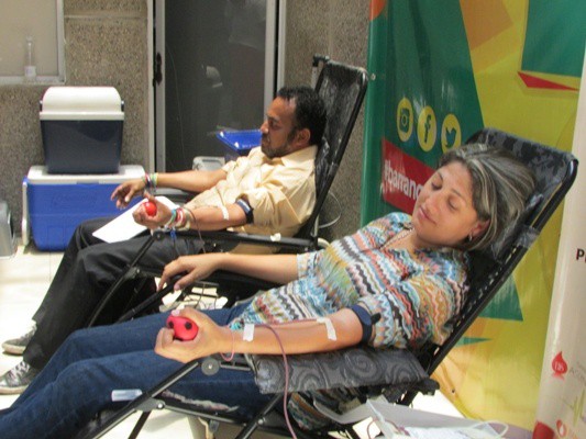 Universitarios yucatecos participarán en el "IV maratón internacional de la donación de sangre" Universitarios yucatecos participarán en el "IV maratón internacional de la donación de sangre"