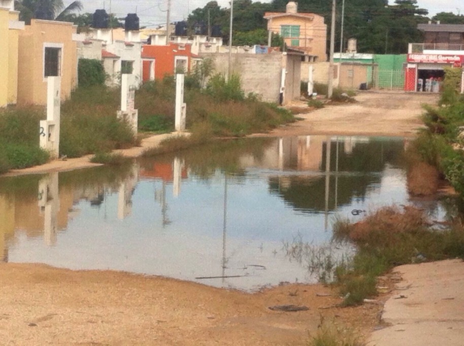 Vecinos de Reparto Granjas reportan fuga de agua potable Vecinos de Reparto Granjas reportan fuga de agua potable