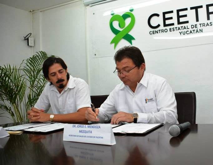Yucatán se consolida en materia de trasplantes Yucatán se consolida en materia de trasplantes