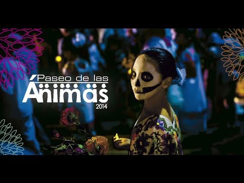 El viernes será el Paseo de las Ánimas, del cementerio general a San Juan El viernes será el Paseo de las Ánimas, del cementerio general a San Juan