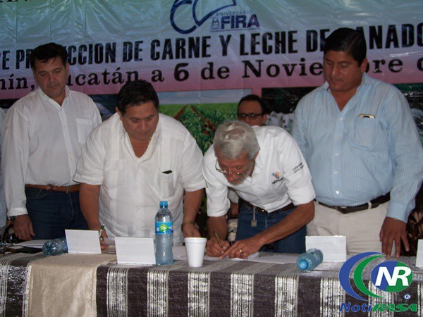 Producción de leche en Sucilá apenas alcanza para abastecer consumo de dos municipios del oriente Producción de leche en Sucilá apenas alcanza para abastecer consumo de dos municipios del oriente