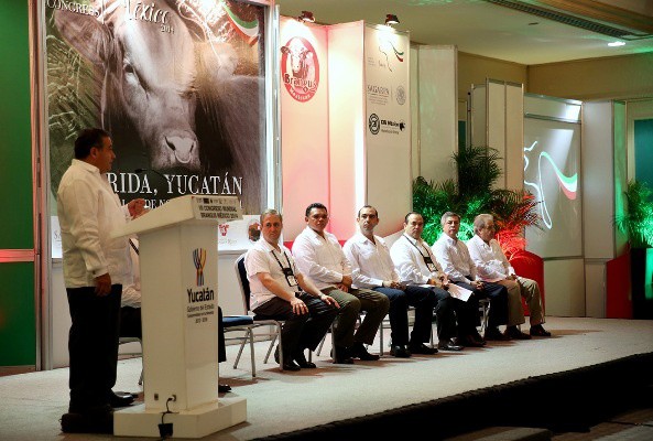 Inicia el VII Congreso Mundial Brangus Inicia el VII Congreso Mundial Brangus