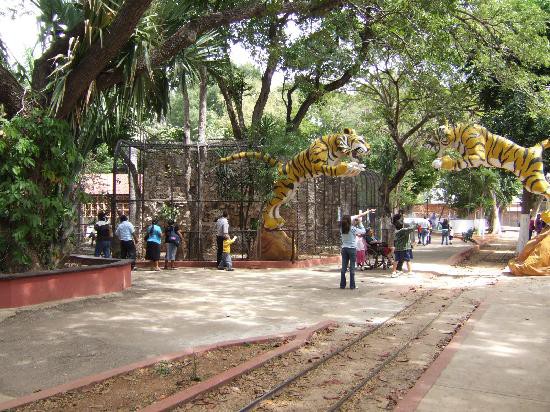 Aprovechan el día feriado para acudir al centenario Aprovechan el día feriado para acudir al centenario