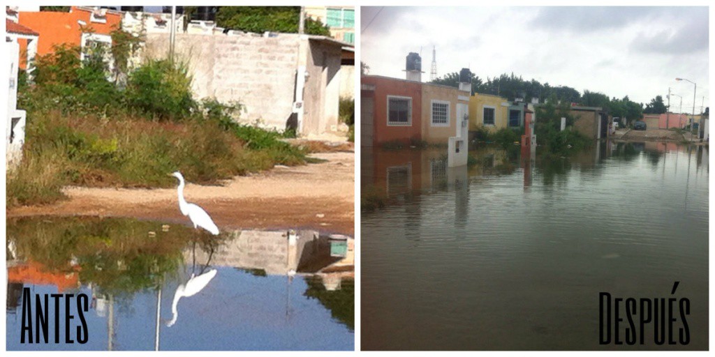 Decenas de casas inundadas en Kanasín Decenas de casas inundadas en Kanasín