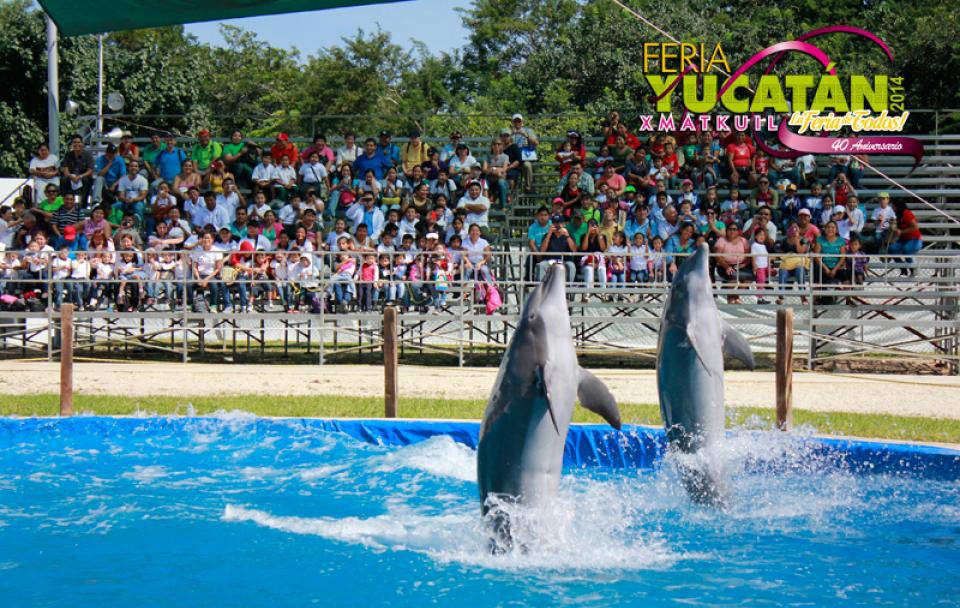 El delfinario, un show familiar en Xmatkuil 2014 El delfinario, un show familiar en Xmatkuil 2014