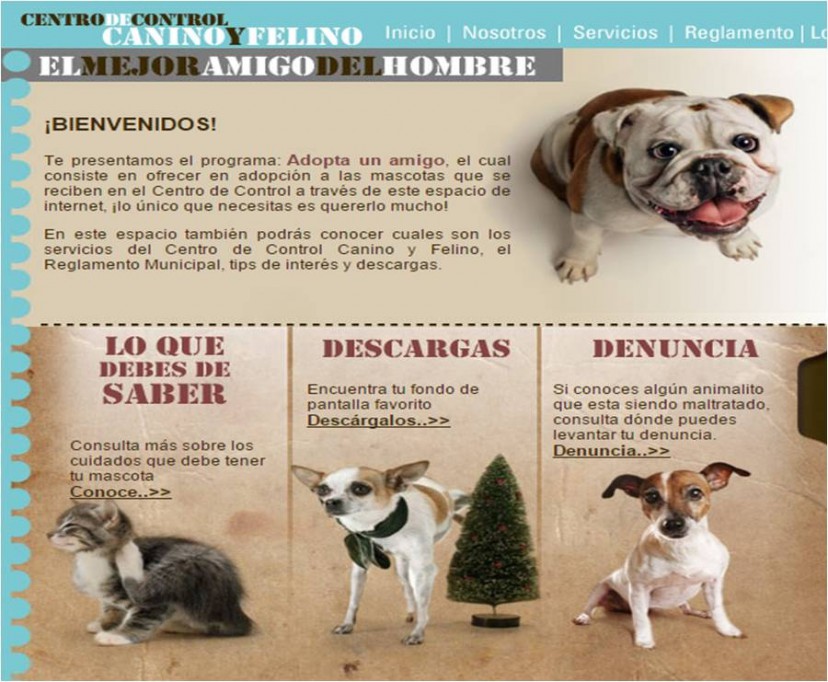 La Comuna gasta mil pesos por cada perro que sacrifica La Comuna gasta mil pesos por cada perro que sacrifica