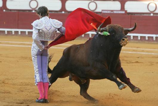 Toro matrero peligroso para el toreros yucatecos Toro matrero peligroso para el toreros yucatecos