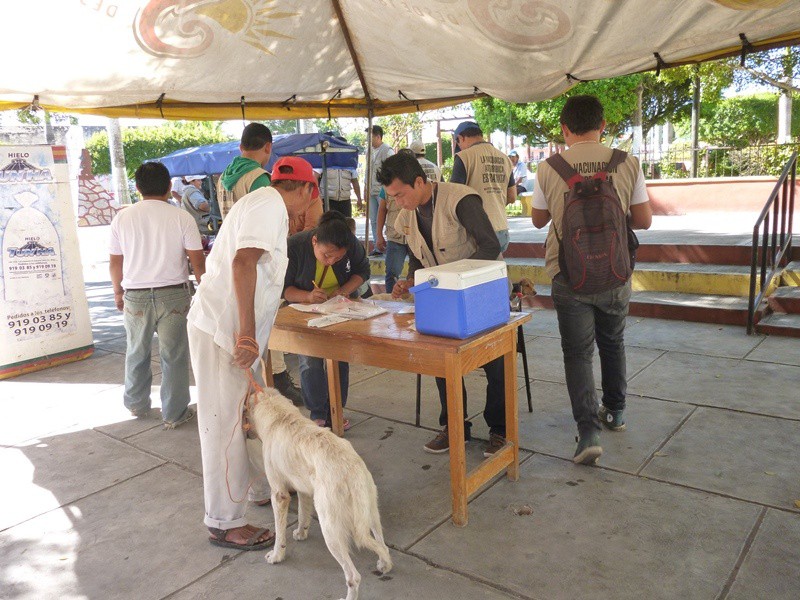 Avanza plan de contingencia de control y prevención de rabia en Seyé Avanza plan de contingencia de control y prevención de rabia en Seyé