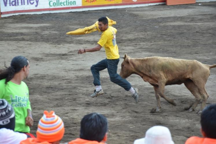 Toreros improvisados se enfrentan a la muerte en un coso sin seguridad Toreros improvisados se enfrentan a la muerte en un coso sin seguridad