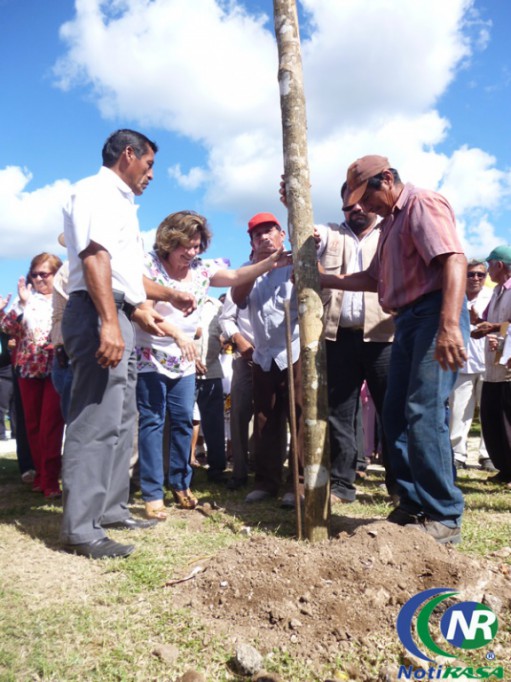 Siembran primer poste del coso taurino de Tizimín Siembran primer poste del coso taurino de Tizimín