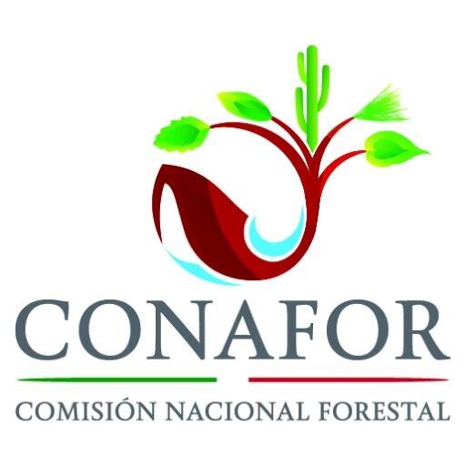 El Programa Nacional Forestal destinará en 2015 7 mil millones de pesos para todo el país El Programa Nacional Forestal destinará en 2015 7 mil millones de pesos para todo el país