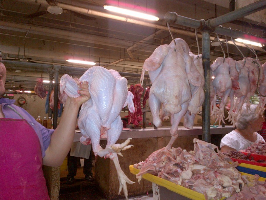 Yucatán es el segundo productor nacional de pavo Yucatán es el segundo productor nacional de pavo
