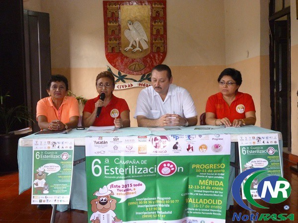 Realizarán campaña de esterilización masiva en Valladolid Realizarán campaña de esterilización masiva en Valladolid