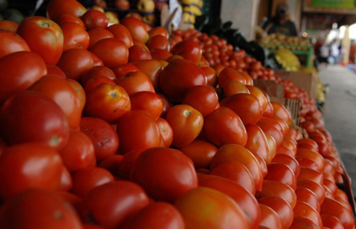 El precio del tomate a la baja El precio del tomate a la baja