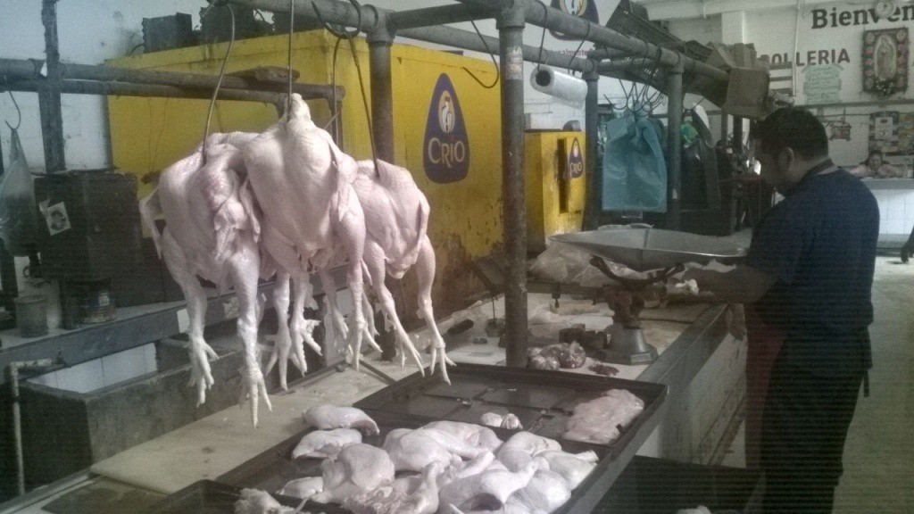 El área de pollos contará con neveras exhibidoras El área de pollos contará con neveras exhibidoras