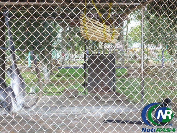 Jaulas del zoológico de Tizimín reciben adecuaciones Jaulas del zoológico de Tizimín reciben adecuaciones