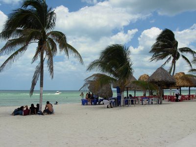 Gobierno y Sociedad trabajan coordinados para proteger las playas yucatecas. Gobierno y Sociedad trabajan coordinados para proteger las playas yucatecas.