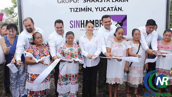 Inauguran casa sombra de plántulas de tomate en Sucopo Inauguran casa sombra de plántulas de tomate en Sucopo