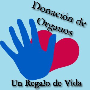 Yucatán supera la media nacional en trasplante de órganos y tejidos Yucatán supera la media nacional en trasplante de órganos y tejidos