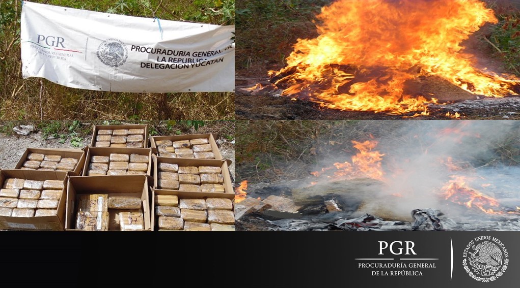 PGR incinera más de 137 kilos de narcóticos en Yucatán PGR incinera más de 137 kilos de narcóticos en Yucatán