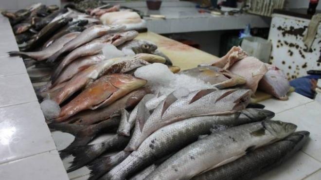 Se elevan los precios del pescado para esta cuaresma Se elevan los precios del pescado para esta cuaresma