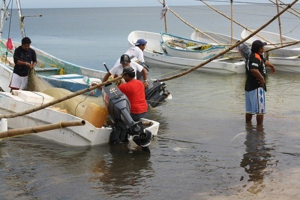 Se entregaron apoyos por 30 millones de pesos a pescadores Se entregaron apoyos por 30 millones de pesos a pescadores