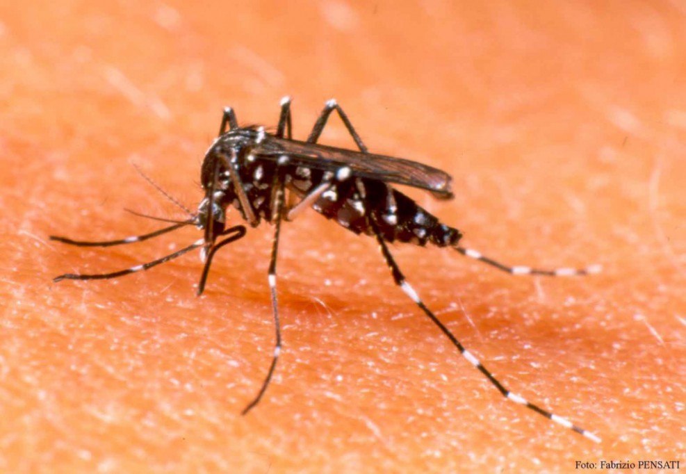 Prevenir y combatir el dengue es otro de los compromisos cumplidos del gobernador Prevenir y combatir el dengue es otro de los compromisos cumplidos del gobernador