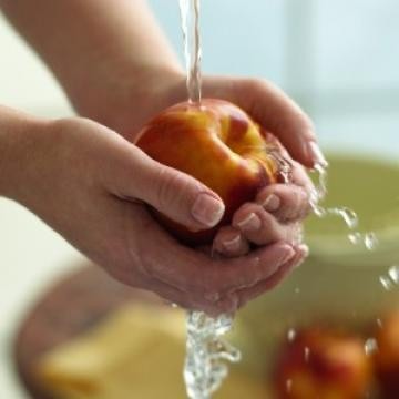 Cuidado con la diarrea en época de calor Cuidado con la diarrea en época de calor