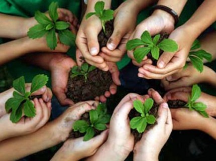 Imparten programa de educación ambiental en escuelas de 6 municipios Imparten programa de educación ambiental en escuelas de 6 municipios