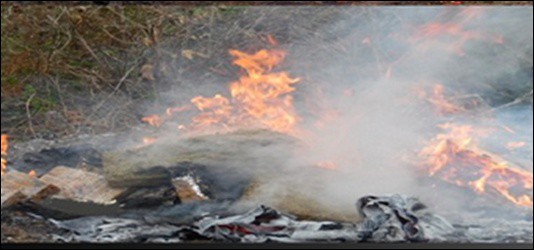 PGR incinera diversos narcóticos en Yucatán PGR incinera diversos narcóticos en Yucatán