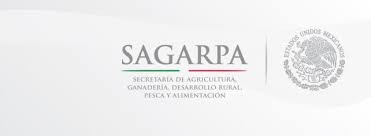 Dan a conocer la convocatoria del programa de concurrencia con las entidades federativas Dan a conocer la convocatoria del programa de concurrencia con las entidades federativas