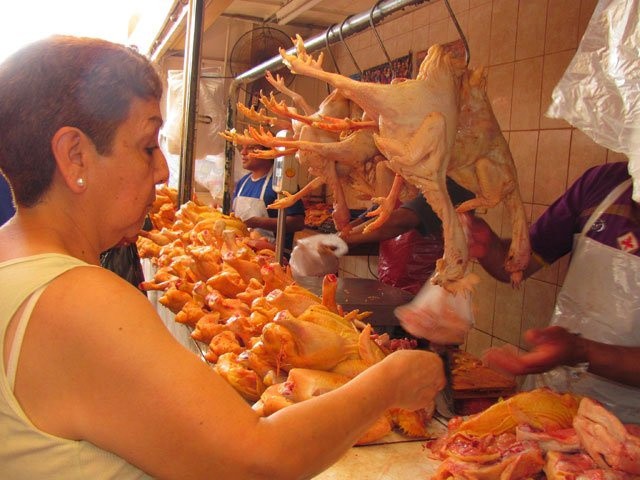 Mejoran las ventas de pollos en un 40% Mejoran las ventas de pollos en un 40%