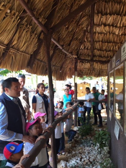 Inauguran herpetario y zona de cocodrilos en animaya Inauguran herpetario y zona de cocodrilos en animaya