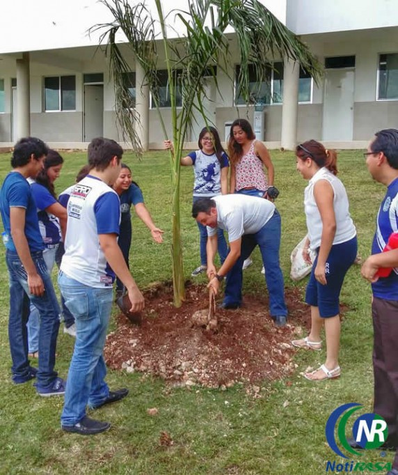 Modelistas de Valladolid reforestan su escuela Modelistas de Valladolid reforestan su escuela