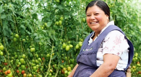 Apuestan al desarrollo del campo apoyando a las mujeres productoras Apuestan al desarrollo del campo apoyando a las mujeres productoras