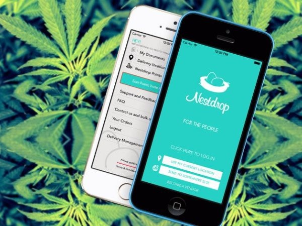 Desarrollan aplicación para distribuir marihuana Desarrollan aplicación para distribuir marihuana