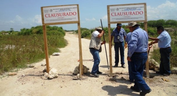 Clausura PROFEPA 2 predios por afectación de 13 mil m2 de vegetación forestal Clausura PROFEPA 2 predios por afectación de 13 mil m2 de vegetación forestal