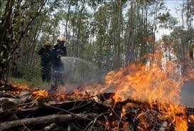 Invitan a la ciudadanía a reportar incendios forestales Invitan a la ciudadanía a reportar incendios forestales