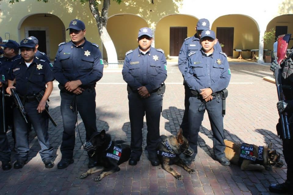 Se registra saldo blanco durante la semana santa en Mérida Se registra saldo blanco durante la semana santa en Mérida