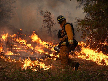 Se han registrado más de 500 incendios en el estado Se han registrado más de 500 incendios en el estado