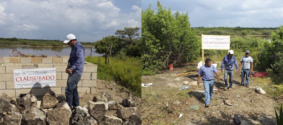 Clausura PROFEPA construcción en humedal costero de manglar, en Yucatán Clausura PROFEPA construcción en humedal costero de manglar, en Yucatán