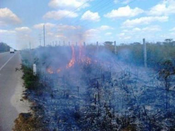 Abril registra 6 incendios salidos de control en Tizimín Abril registra 6 incendios salidos de control en Tizimín